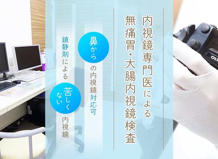 内視鏡専門医による無痛胃・大腸内視鏡検査 鼻からの内視鏡対応可 鎮静剤による苦しくない内視鏡